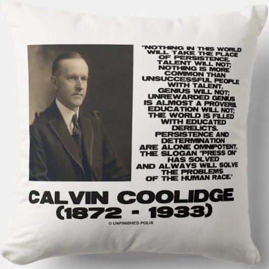 持続性決定の全能性冷却 クッション