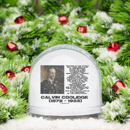 持続性決定Omnipotential Coolidge Qte (クリスマス)