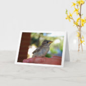 指に止まるスズメ カード (黄色い花)