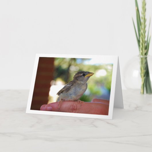 指に止まるスズメ カード (正面)