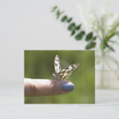 指の蝶 ポストカード (スタンド正面)