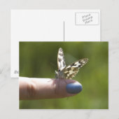 指の蝶 ポストカード (正面/裏面)