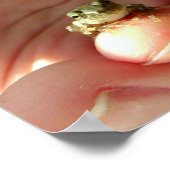 指フレンドリーに乗ったカエル ポスター (角)