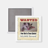 指名手配の砂糖滑空機 マグネット (正面/裏面)