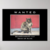 指名手配 ポスター (正面)