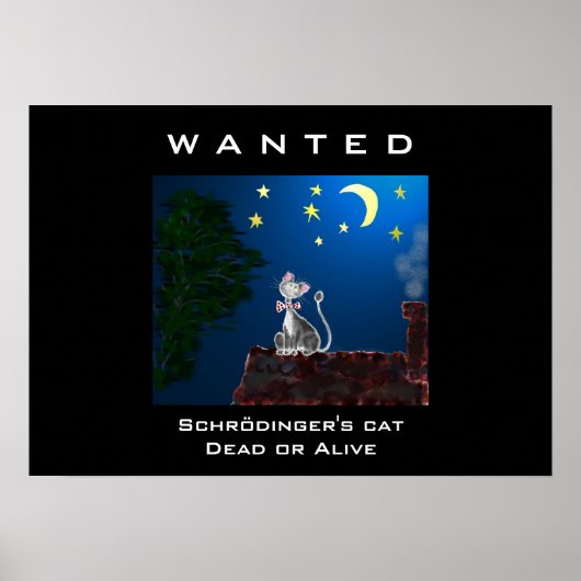 指名手配 ポスター (正面)