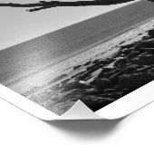 指揮者 フォトプリント            (角)