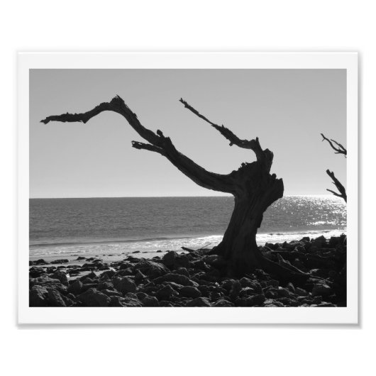 指揮者 フォトプリント            (正面)