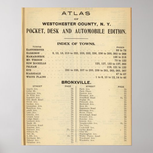 指数タウンズ、ブロンックスビル ポスター (正面)