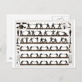 指示を囲うヴィンテージ ポストカード (正面/裏面)