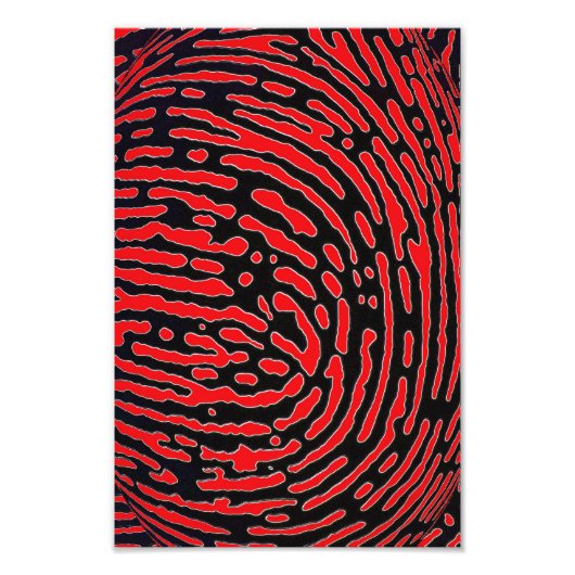 指紋バブル フォトプリント            (正面)