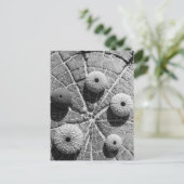 指輪 ポストカード (スタンド正面)