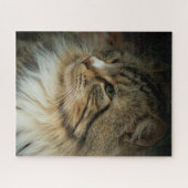 挑戦的なノルウェーの森林猫 ジグソーパズル (横)