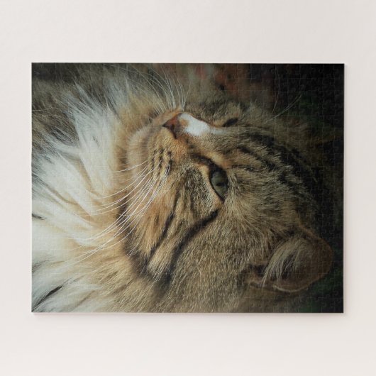 挑戦的なノルウェーの森林猫 ジグソーパズル (横)