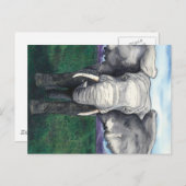 挑戦的 – アフリカゾウ ポストカード (正面/裏面)