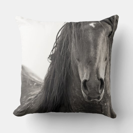 「挑戦的」装飾用クッション クッション (正面)