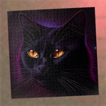 挑戦 黒猫