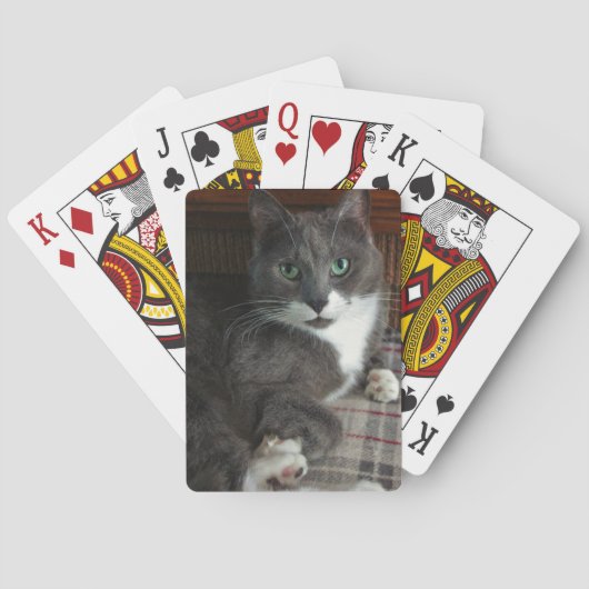 挨りだらけ トランプ (裏面)