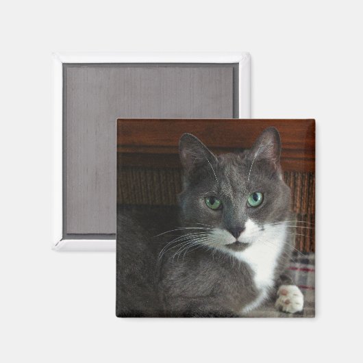 挨りだらけ マグネット (正面/裏面)