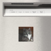 挨りだらけ マグネット (インサイチュ (食洗機))