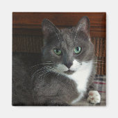 挨りだらけ マグネット (正面)