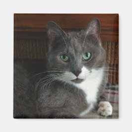 挨りだらけ マグネット