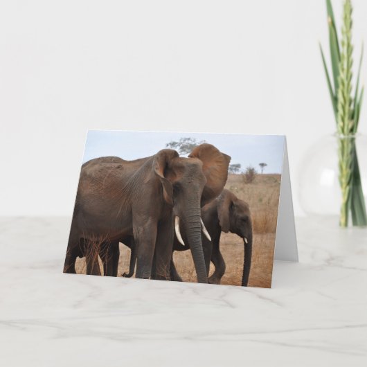 挨拶および挨拶 カード (正面)