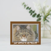 挨拶したいだけだ！! ポストカード (スタンド正面)