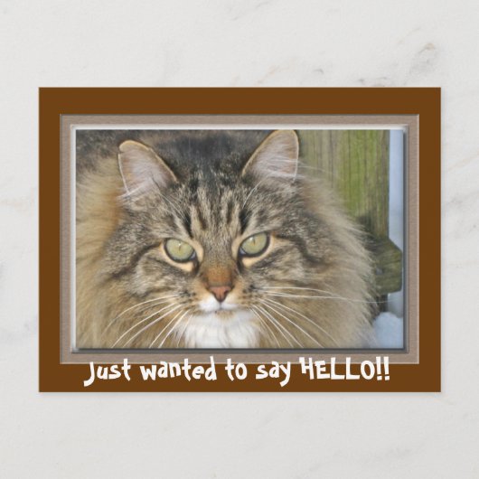 挨拶したいだけだ！! ポストカード (正面)