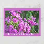 挨拶したいだけだ!!ポストカード ポストカード (正面)