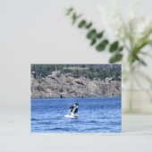 挨拶に来ただけだ！ ポストカード (スタンド正面)