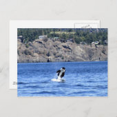 挨拶に来ただけだ！ ポストカード (正面/裏面)