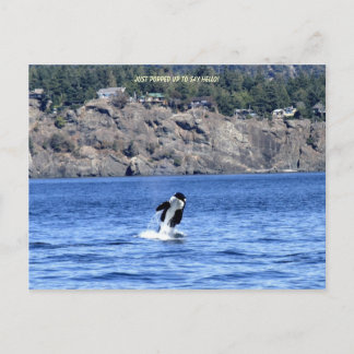 挨拶に来ただけだ！ ポストカード