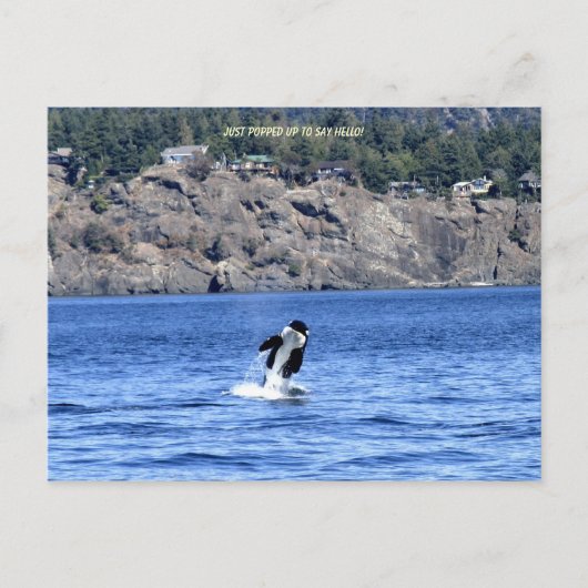 挨拶に来ただけだ！ ポストカード (正面)