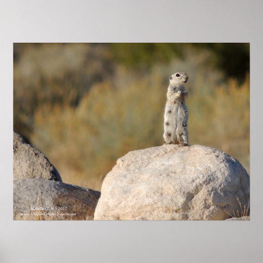 挨拶フレンドリー ポスター (正面)