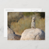 挨拶フレンドリー ポストカード (正面/裏面)