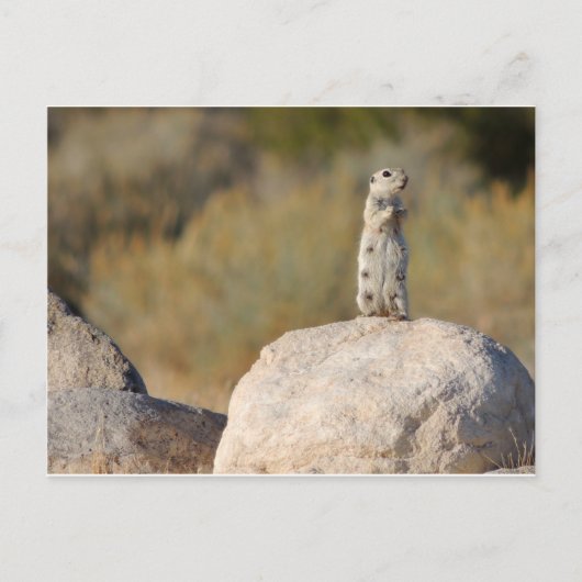 挨拶フレンドリー ポストカード (正面)