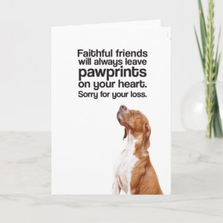 -挨拶状あなたの損失(ポインター)のために残念 カード