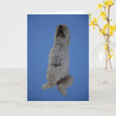 挨拶状の上に坐るGoldendoodle カード (黄色い花)