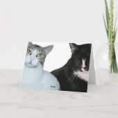 挨拶状の外で考える カード (裏面)