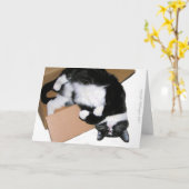 挨拶状の外で考える カード (黄色い花)