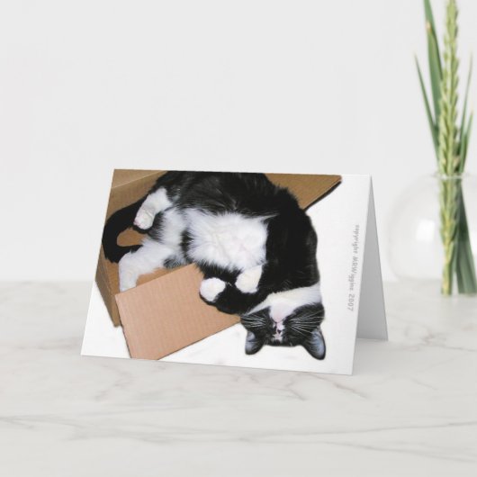 挨拶状の外で考える カード (正面)