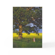 挨拶状の   北の英雄ヴァーモント