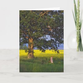 挨拶状の   北の英雄ヴァーモント カード