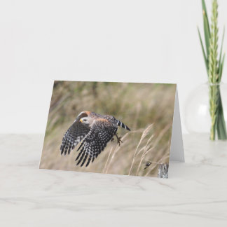 挨拶状をはずすこと カード