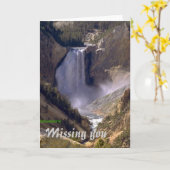 挨拶状を恋しく思う低滝イエローストーン カード (黄色い花)