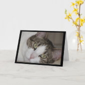 挨拶状を恋しく思っている物足りなそうな猫 カード (黄色い花)