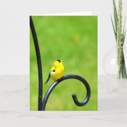 挨拶状を調べること カード (正面)