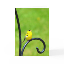 挨拶状を調べること