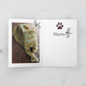 挨拶状猫 カード (内部)